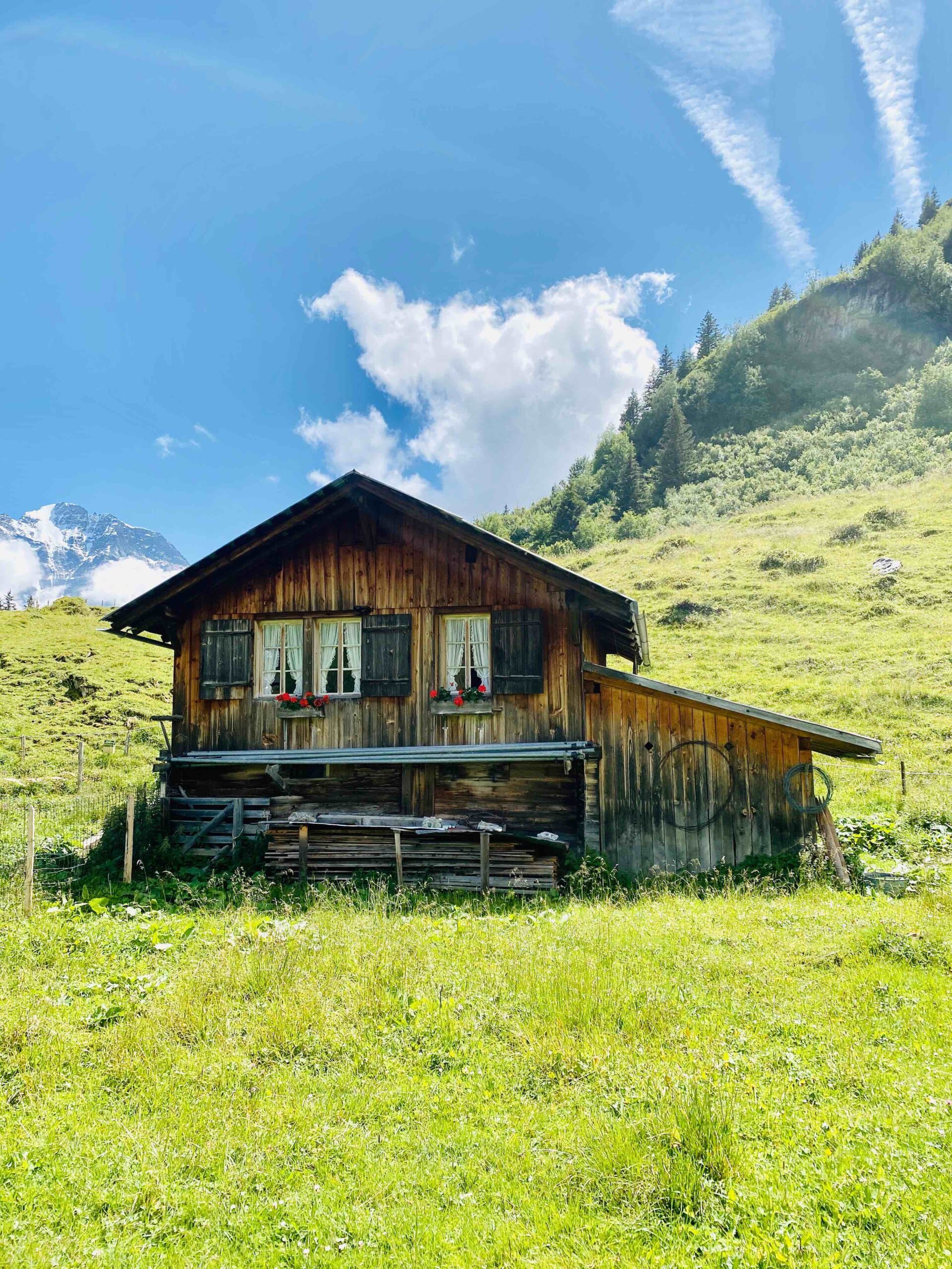 You are currently viewing Heile Welt und Pommes: Meine Sommerferien in der Schweiz